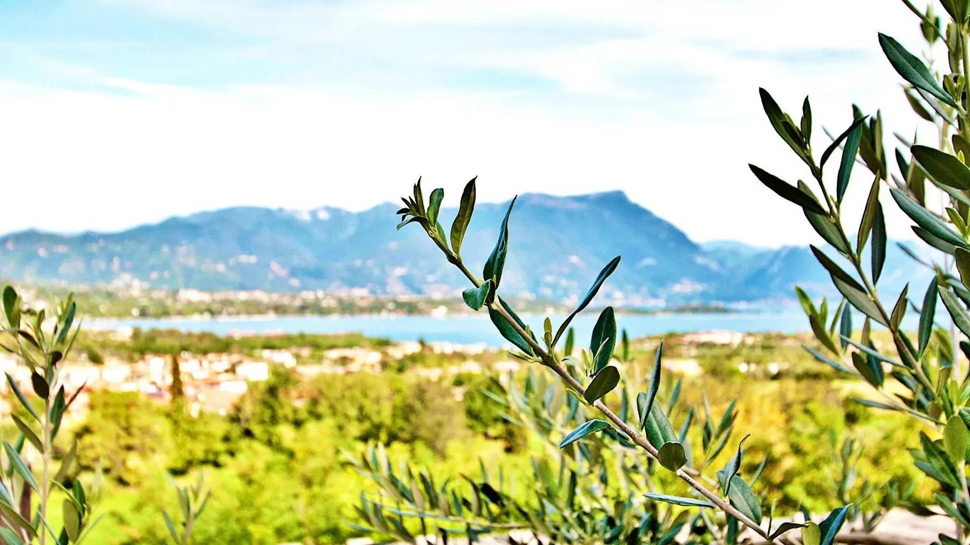 Residence Bellavista Manerba del Garda Aparthotel